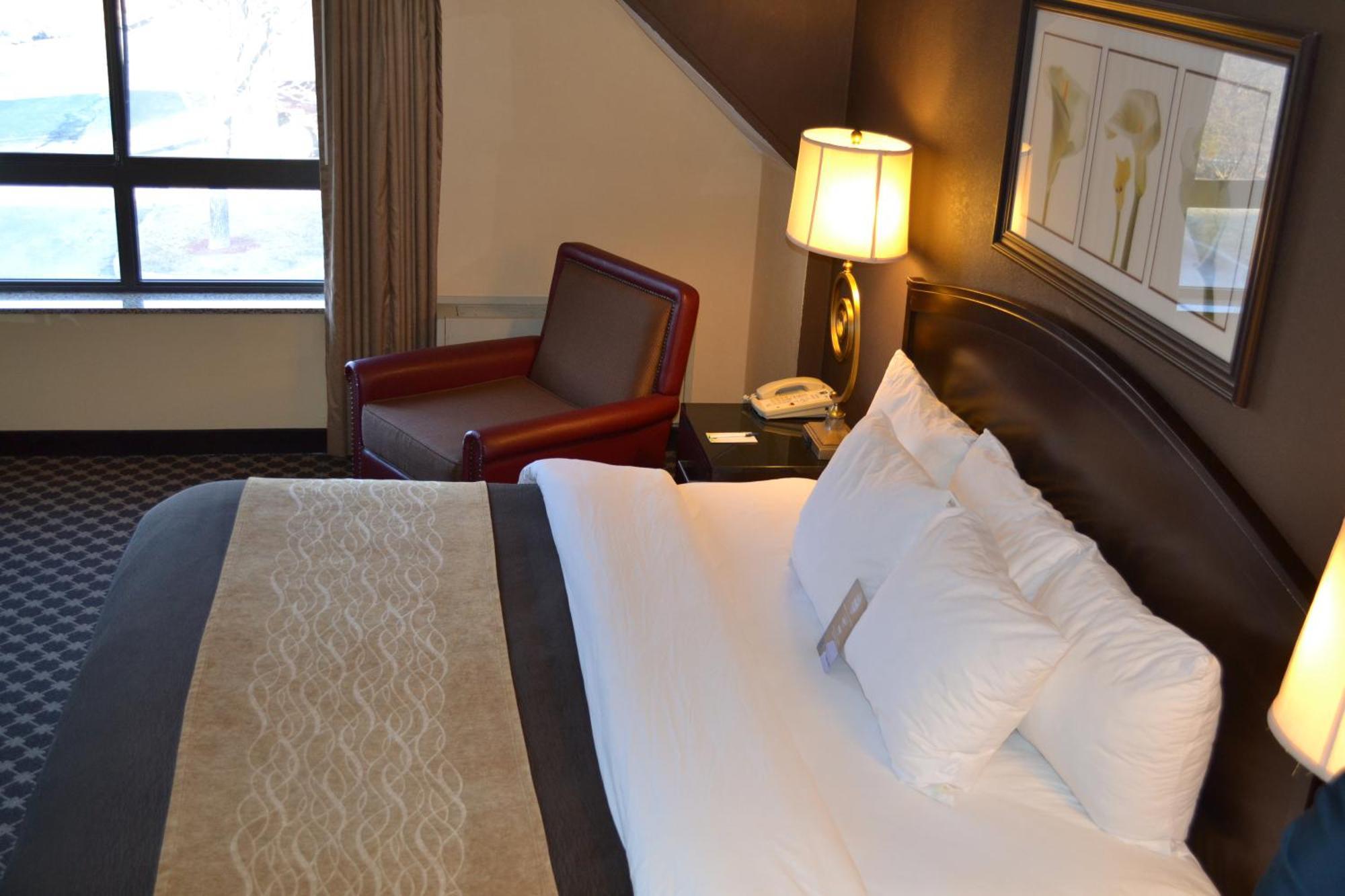 Quality Inn Ithaca - University Area Pokój zdjęcie